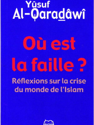 Où est la faille ? Réflexions sur la crise du monde de l'islam