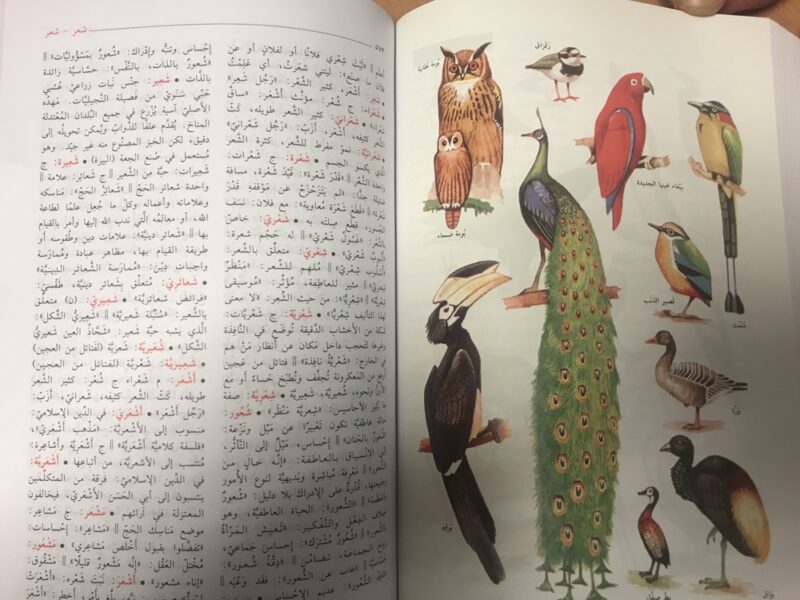 المنجد الوسيط في العربية المعاصرة - Dictionnaire AL wassit de l'arabe moderne, -9484